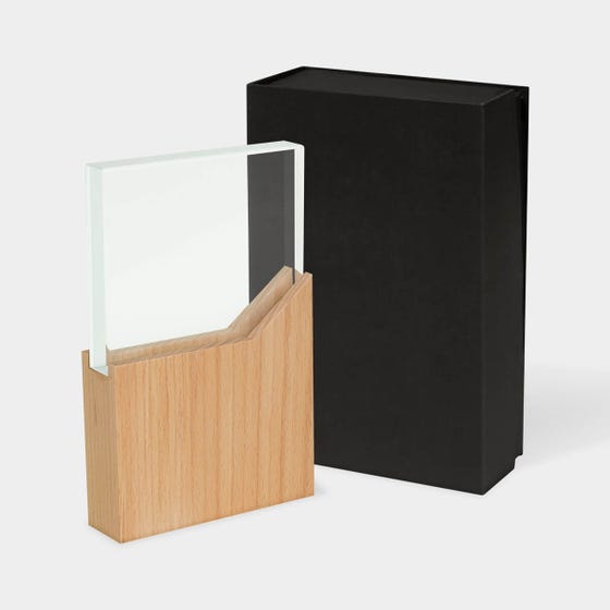 RECONOCIMIENTO LYNOR COLOR BEIGE